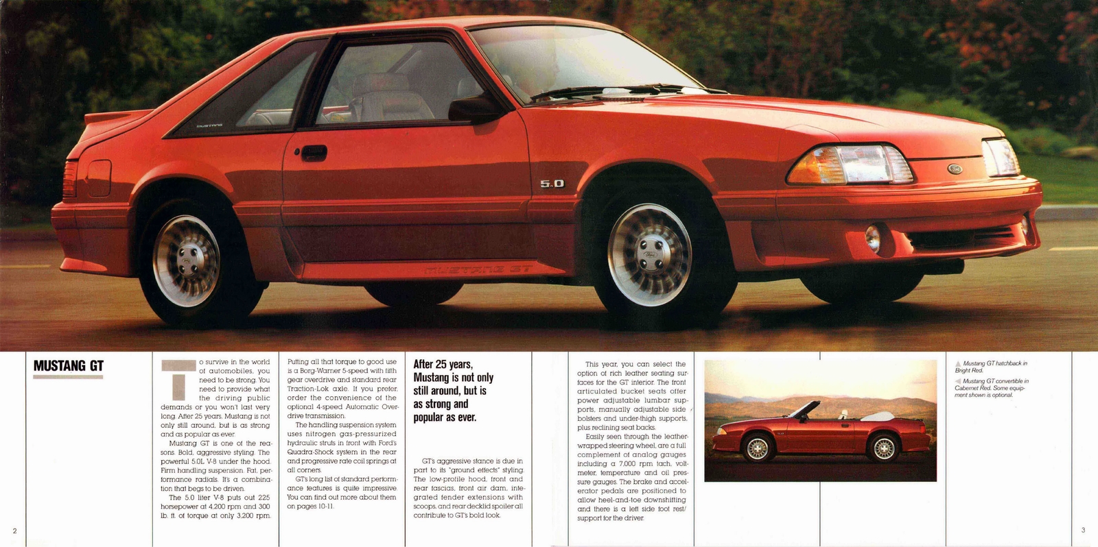 n_1990 Ford Mustang-02-03.jpg